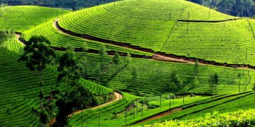 CAR RENTAL IN SIKKIM