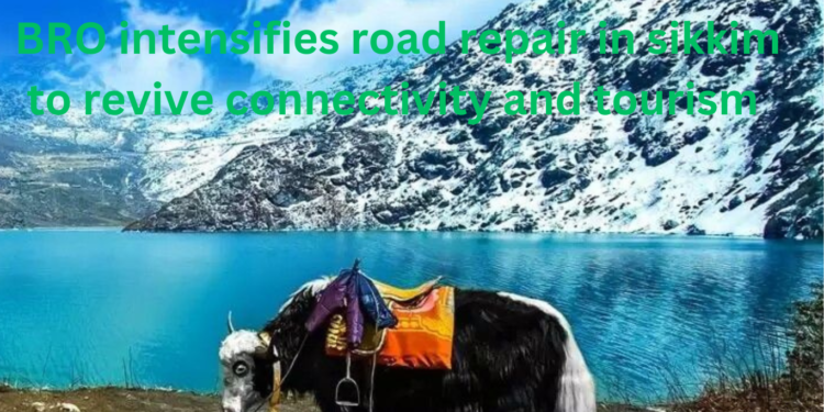 sikkim to revive connectivity and tourism december 2024